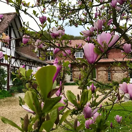 'la Belle Epoque - Vaucottes' Bed & Breakfast *